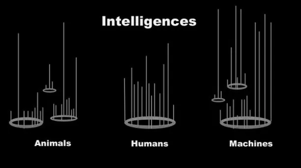Different dimensions of intelligence