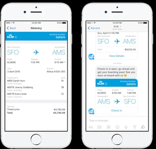 Images represents an UI example of airline mobile app.