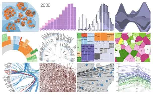 12 different data visuals are plotted as examples of data visualization for complex data.  