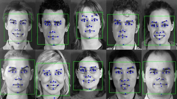 Facial geometry identification example