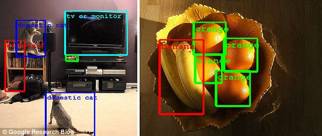Image Recognition In depth Guide For 2024