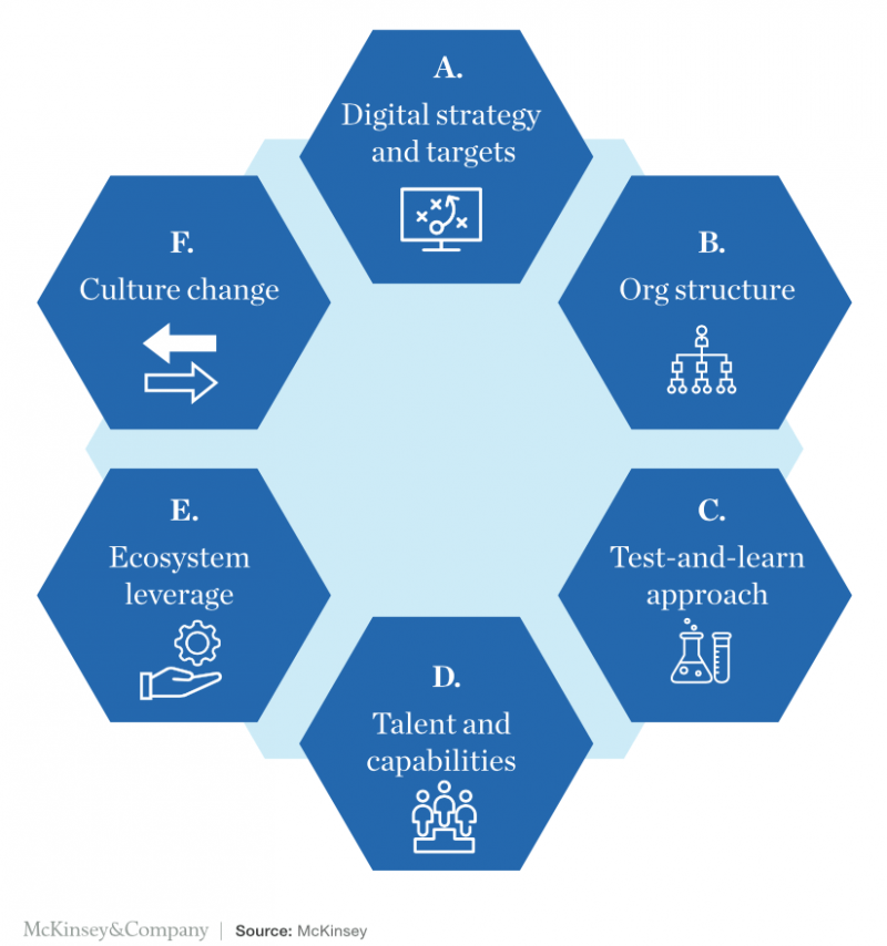 digital transformation consulting case study