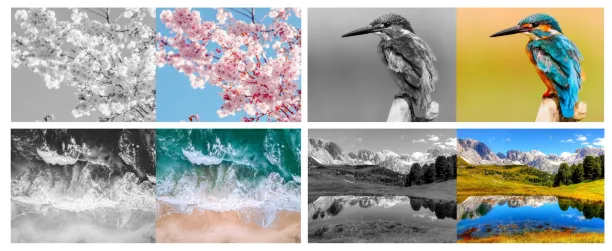Colorization of images with self-supervised learning