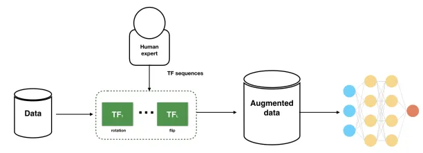 For data augmentation, a human expert apply transformation functions to data such as rotation, flip etc.