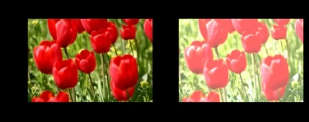 Changing the brightness of images as a data augmentation technique.