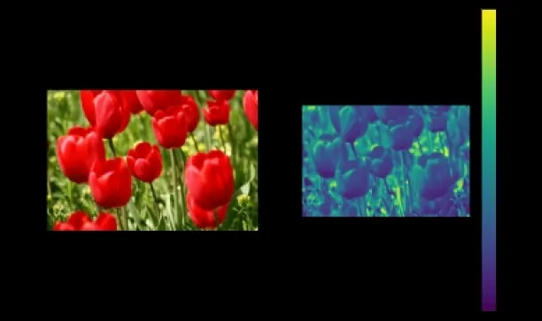 Changing the colors of images with new pixel values as a data augmentation technique.