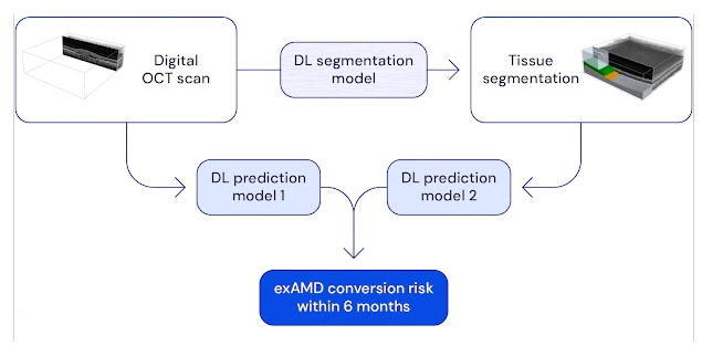 Deep learning in healthcare: Google DeepMing