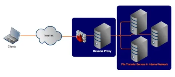 The figure shows the process of reverse proxy.