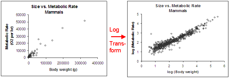 Example of log transformation in feature engineering