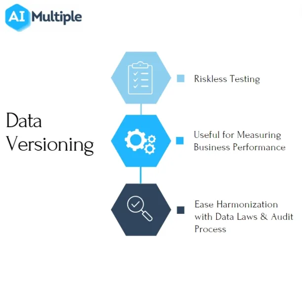 Data versioning ensures riskless testing. It provides KPIs for measuring business performance and support companies for data related audits.