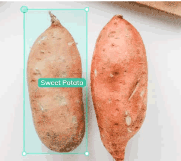 This is an image of 2 sweet potatoes from which the left one is tagged with a blue bounding box tag labelled sweet potato.