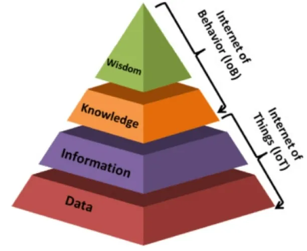 A picture of a pyramid as a metaphor for IoT and IoB integration. Data fuels the IoB. 