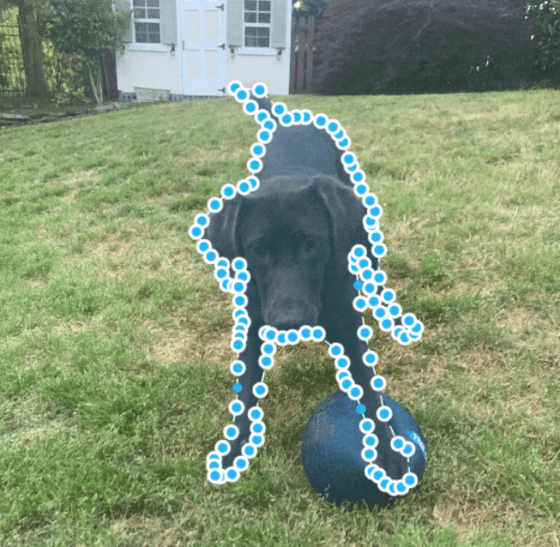 Image Annotation in 2023 Definition, Importance & Techniques