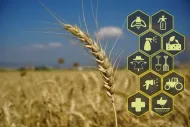 Top 5 Computer Vision Use Cases in Agriculture in 2024