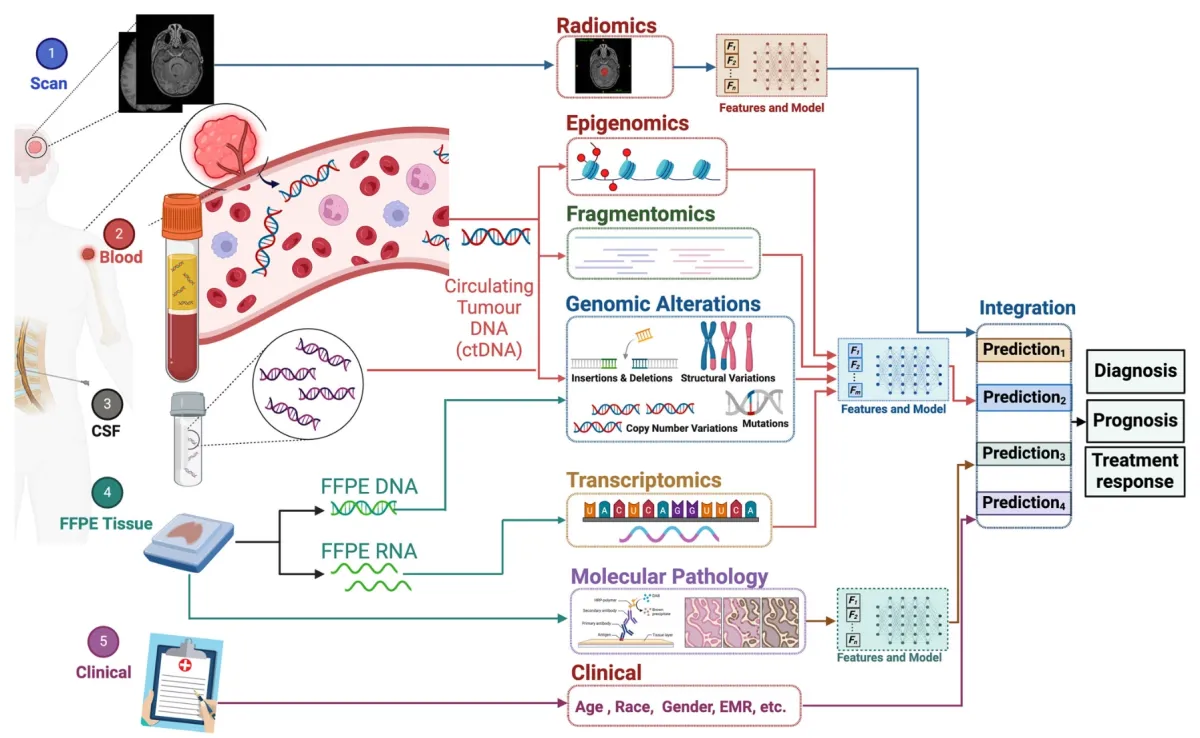 Graph showing the processes of how AI for neurology works in brain tumor management.