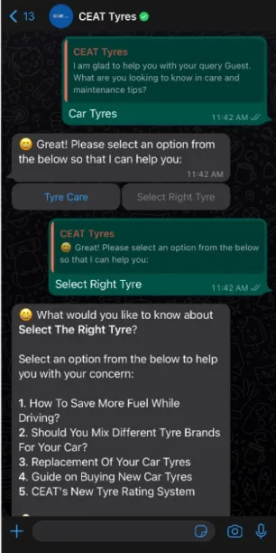 Image is the screenshot of a messaging interaction between a user and CEAT's chatbot. To recommend the best suitable product for customer chatbot asks questions to a potential customer. 