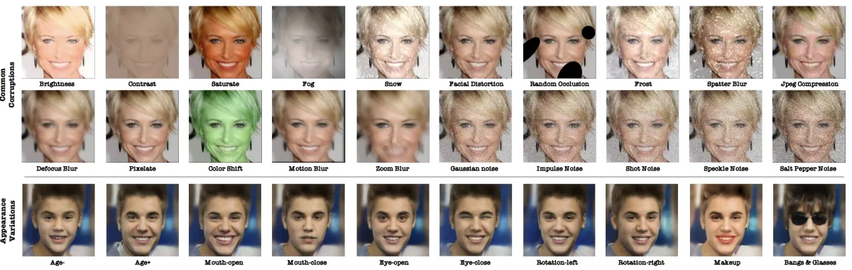 An example showing 30 different types of common distortions and appearance changes to manage facial recognition challenges.