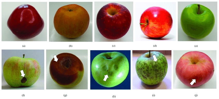 a collection of apple images with different variations in its health, shape, and colors