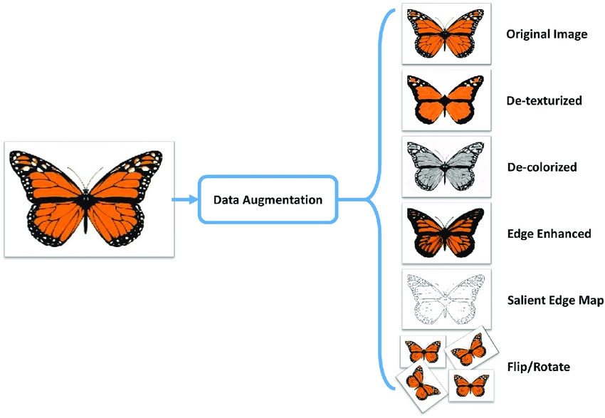 A data augmentation example of a butterfly picture augmented to make different variations for computer vision training data.