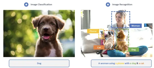 An illustration explaining the difference between image recognition vs classification.