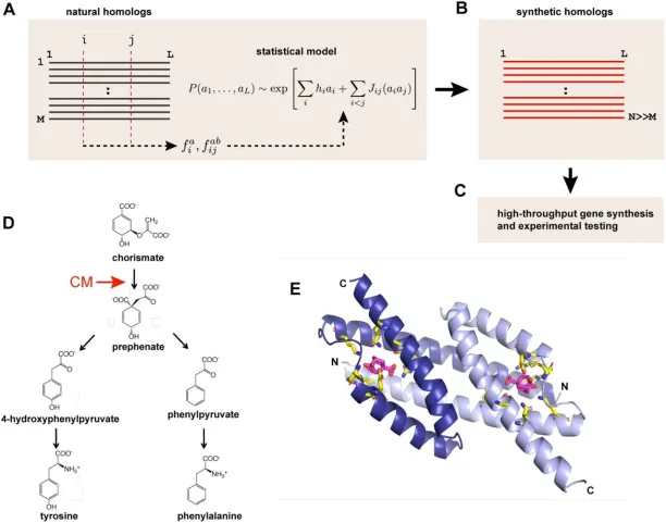 Evolutionary data-driven protein engineering by Evozyne, Generative AI in Life Sciences