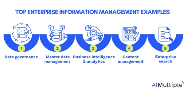 The visual summarizes top 6 enterprise information management examples