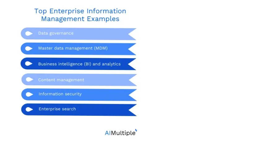 Best 6 Enterprise Information Management Examples in 2024