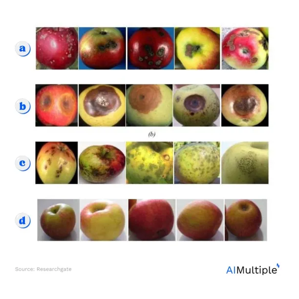 Apple image dataset with images of rotten apples, fresh apples, apples of different colours, and images from different angles. Showing the data collection process of a computer vision system.