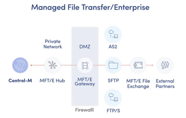 The graph showing the Control-M managed file transfer processes