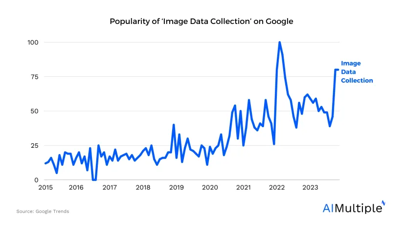 10+ Image Data Collection Services in 2024