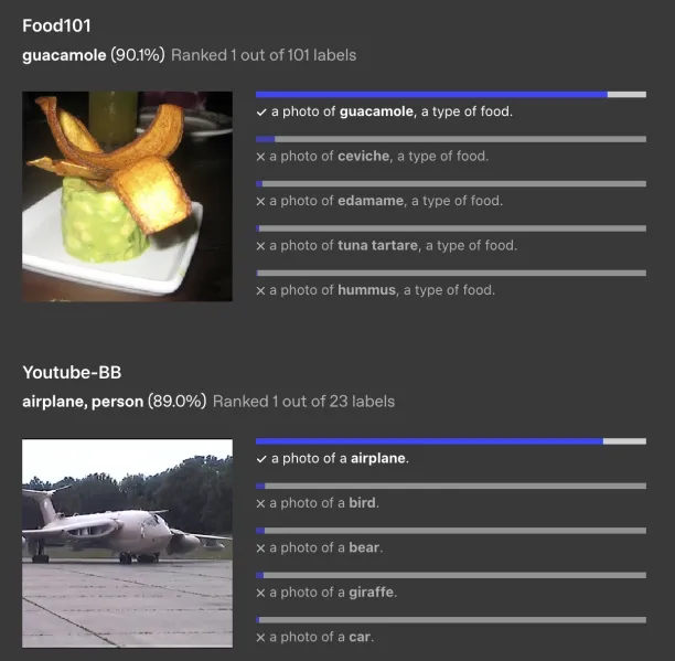 Image identification by CLIP from various datasets