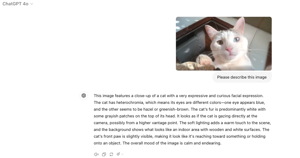 In the image, the ChatGPT user is asking large multimodal models to describe the uploaded image.