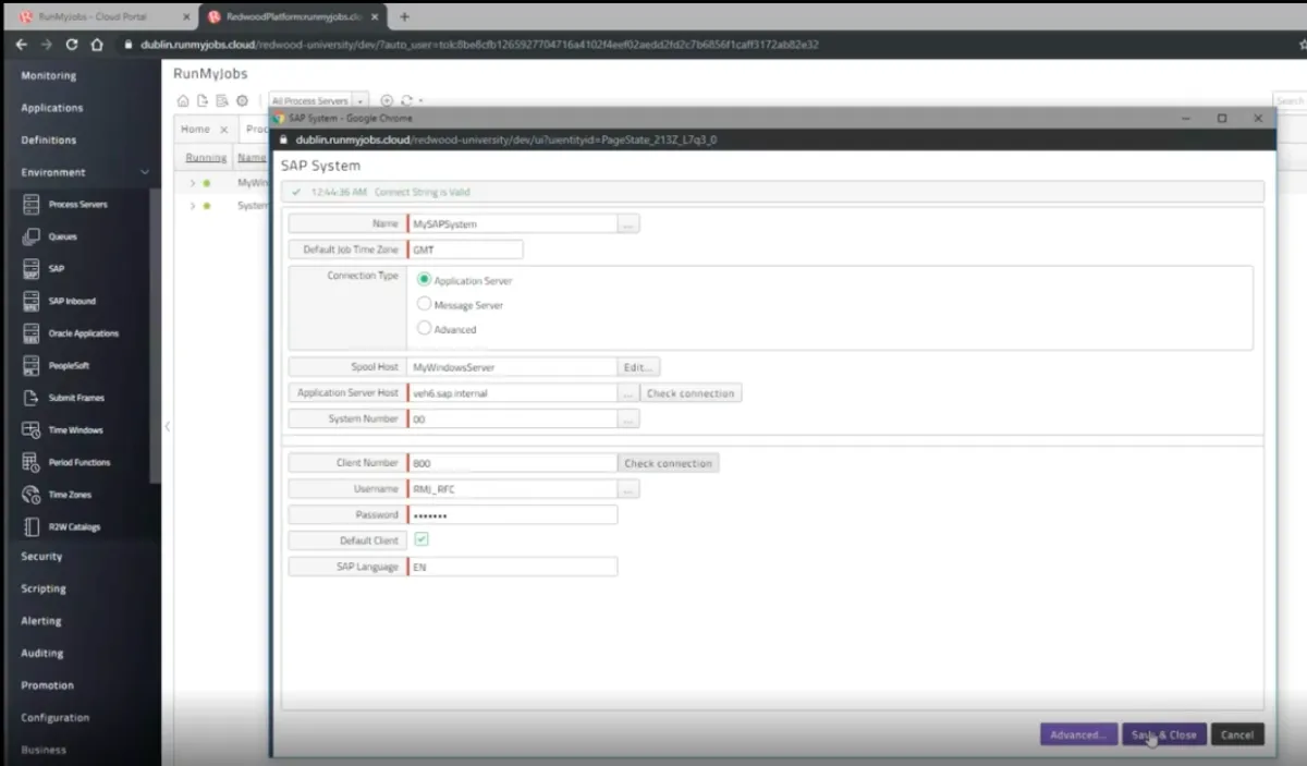 The image is taken from RunMyJobs platform showing how to connect to SAP system.