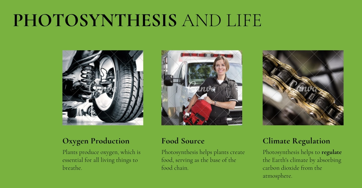 An AI presentation maker example slide from Canva.